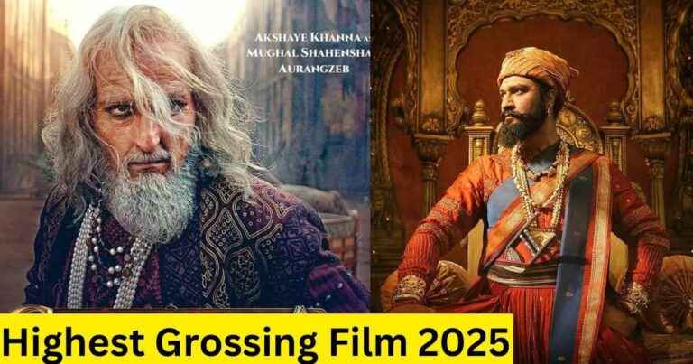 2025 की सबसे ज्यादा कमाई करने वाली बॉलीवुड फिल्में